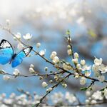 پاکسازی بدن در فصل بهار